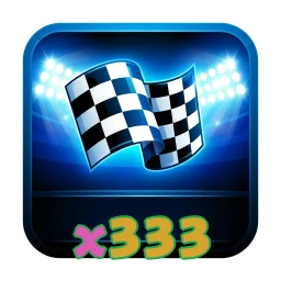x333